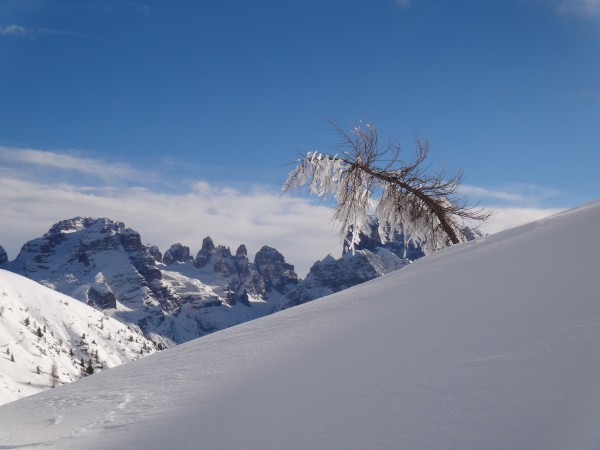 Le dolomiti di Brenta viste dal Gruppo dll'Adamello Presanella.