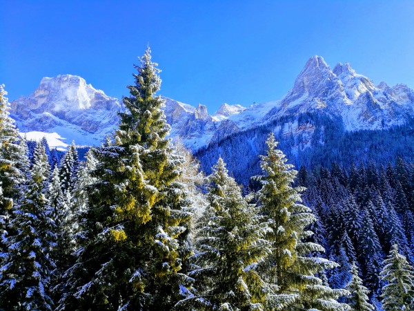 Pale di San Martino