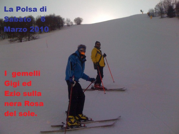 I gemelli sulla nera  Rosa del sole.JPG