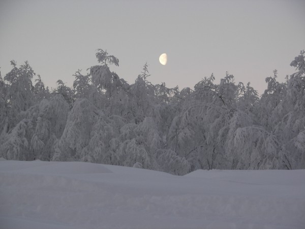 Nordic moon between sky and snow...
