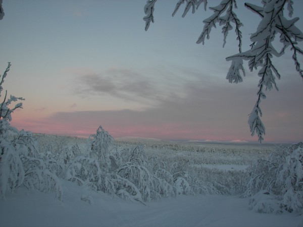 Winter sunset in Lappland