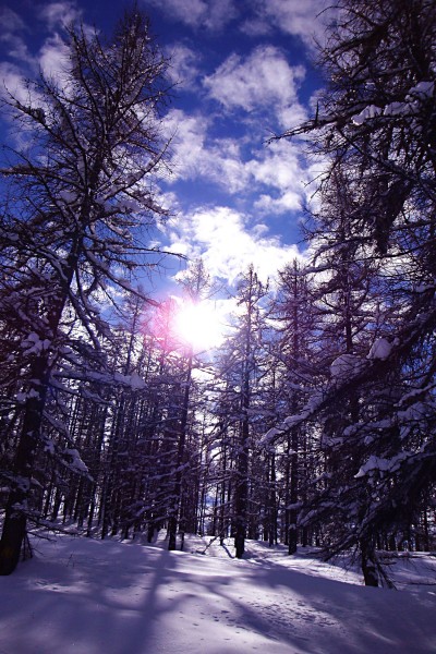 sestriere.jpg (1.03 MiB) Visto 5902 volte un momento di relax...sulla pista che scende a salice d'ulzio...