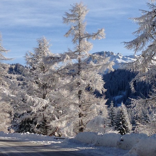 Trentino - Alpe Lusia - Gennaio 2014