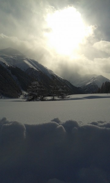 20150118_115022.jpg