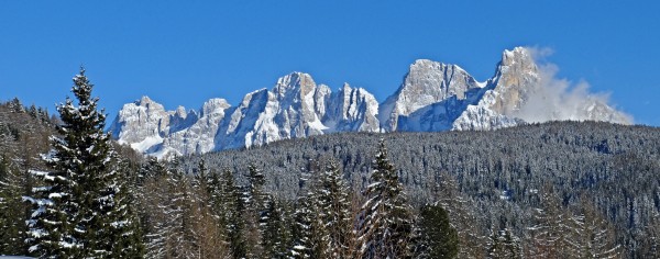 DSCF0541.JPG