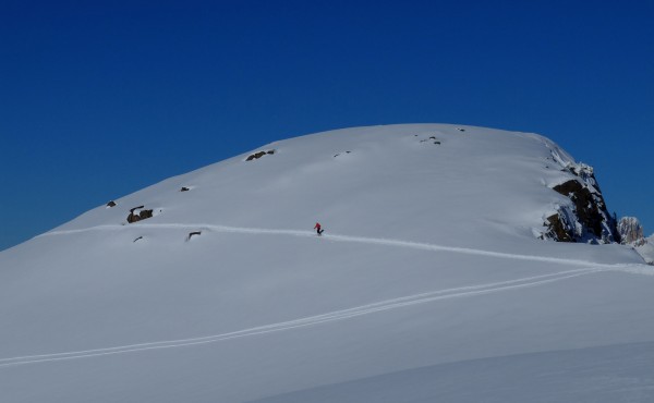 DSCF0530.JPG