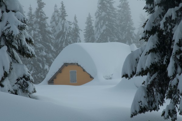 Malga Verena - Monte Verena altopiano di Asiago