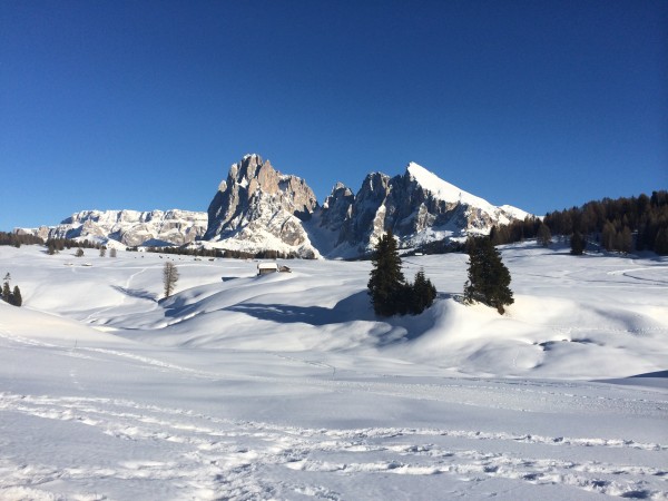 Alpe di Sissi - Gruppo del Sassolungo