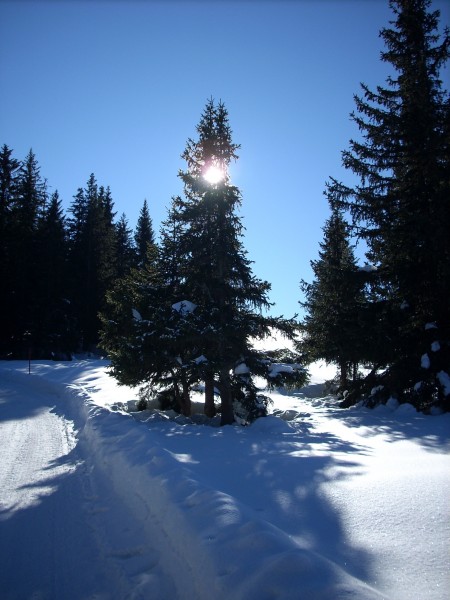 DSCN0493_2.JPG (1.54 MiB) Visto 5052 volte SANTA CRISTINA DI VAL GARDENA