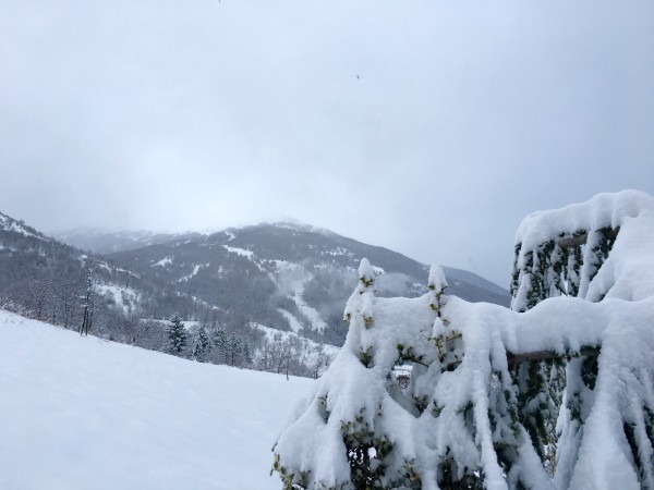 bardonecchia4gennaio16.jpg (347.68 KiB) Visto 2245 volte bardonecchia4gennaio16.jpg