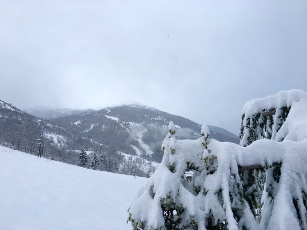 bardonecchia4gennaio16.jpg