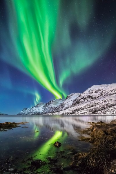 Sinue_Serra-2.jpg (1.49 MiB) Visto 3600 volte Tromso, Norvegia