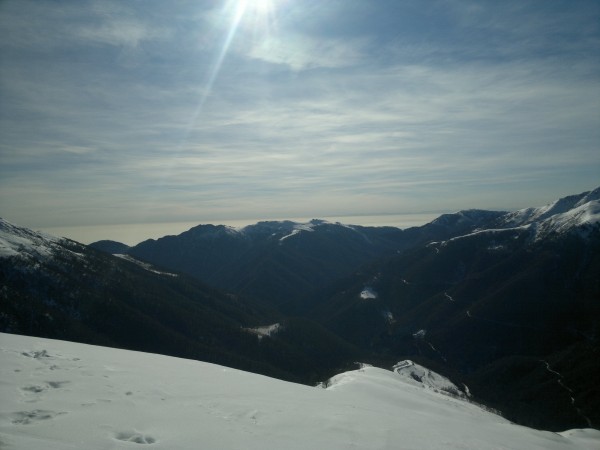 2013-01-30-481.jpg
