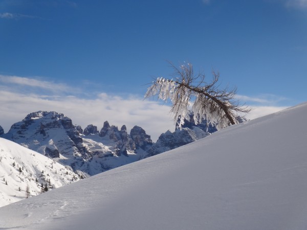 DSC00547.JPG (2.8 MiB) Visto 21445 volte Le dolomiti di Brenta viste dal Gruppo dll'Adamello Presanella.