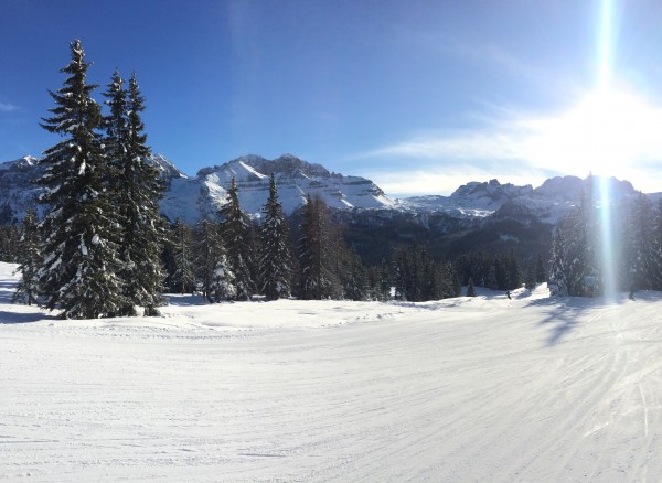 Foto2.jpg (2.33 MiB) Visto 7442 volte Madonna di Campiglio