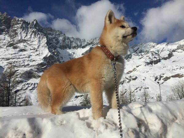 Aki sulle nevi di Cervinia