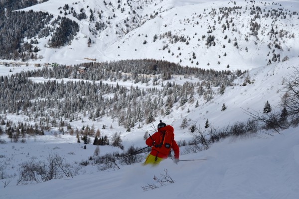 Adamello freeride tratto Alaska