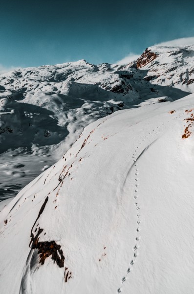 Tracks in the snow - Gressoney