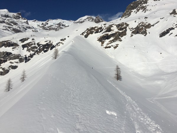 Monterosa Ski