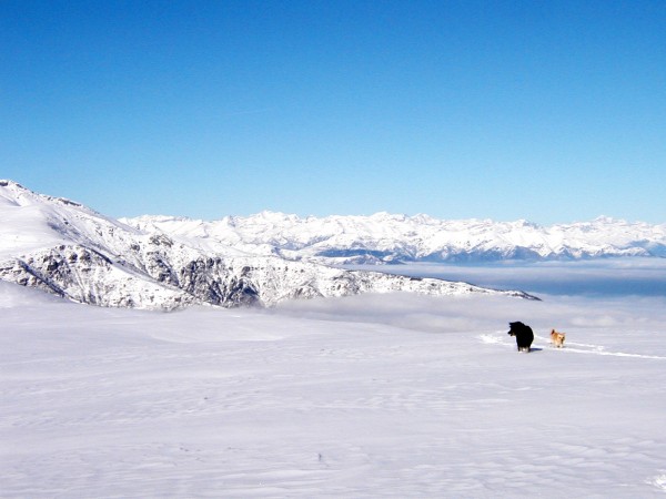 &quot;Antartide&quot;... nelle Alpi Cozie!
