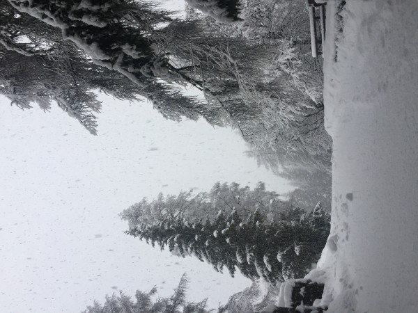 8948865D-46A7-4FDC-B828-9D5CB7EEA7A2.jpeg (2.56 MiB) Visto 18067 volte Folgarida, Val di Sole