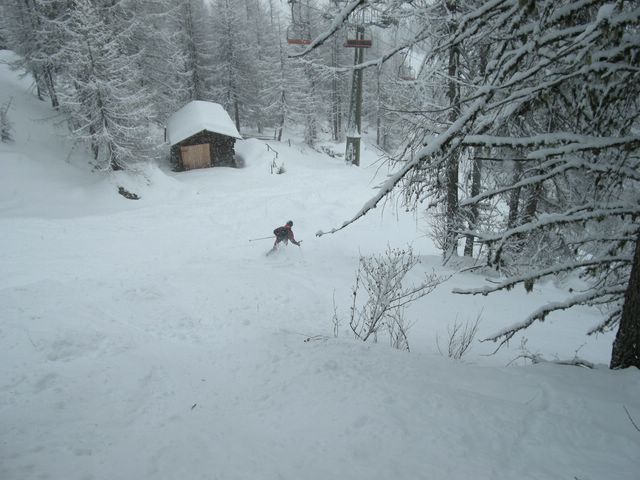 Tra i boschetti sotto la seggiovia!