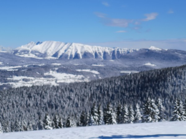 IMG_20200304_112725.jpg (2.31 MiB) Visto 10761 volte IMG_20200304_112725.jpg