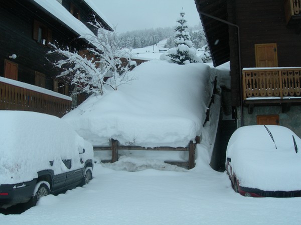 Nevicata straordinaria (50 cm di neve)