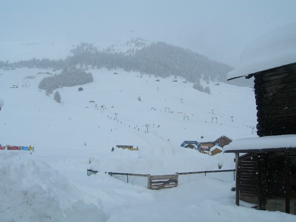 Ski school area Carosello 3000